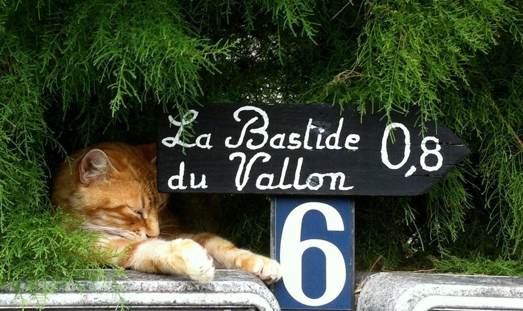 La Bastide Du Vallon Hostal Saumane-de-Vaucluse Exterior foto